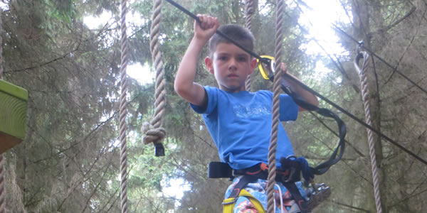 Tree top circuits