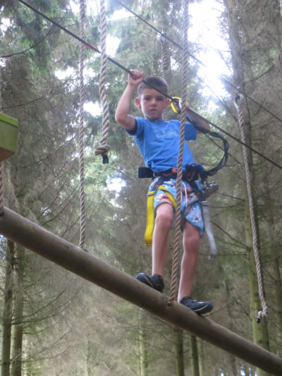 Tree top circuits