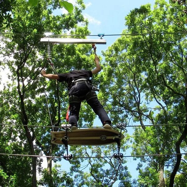 Tree climbing in Angiens Tree climbing in Angiens