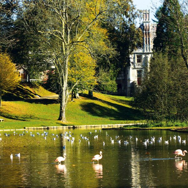 Wildlife and botanical park in Clères © S. Cordevant Wildlife and botanical park in Clères © S. Cordevant